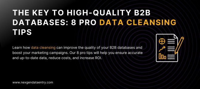 The Key to High-Quality B2B Databases: 8 Pro Data Cleansing Tips